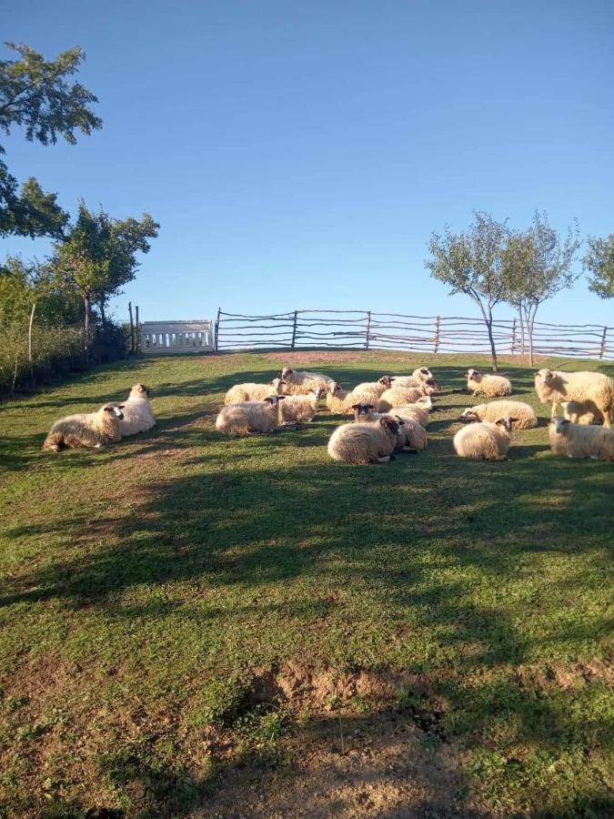 Chez Marthe, Organic Farm Stay Knin Ngoại thất bức ảnh